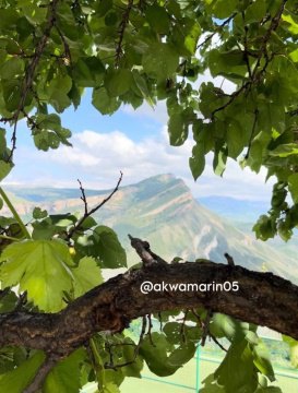 2-к квартира, 1/1 эт., 85м²